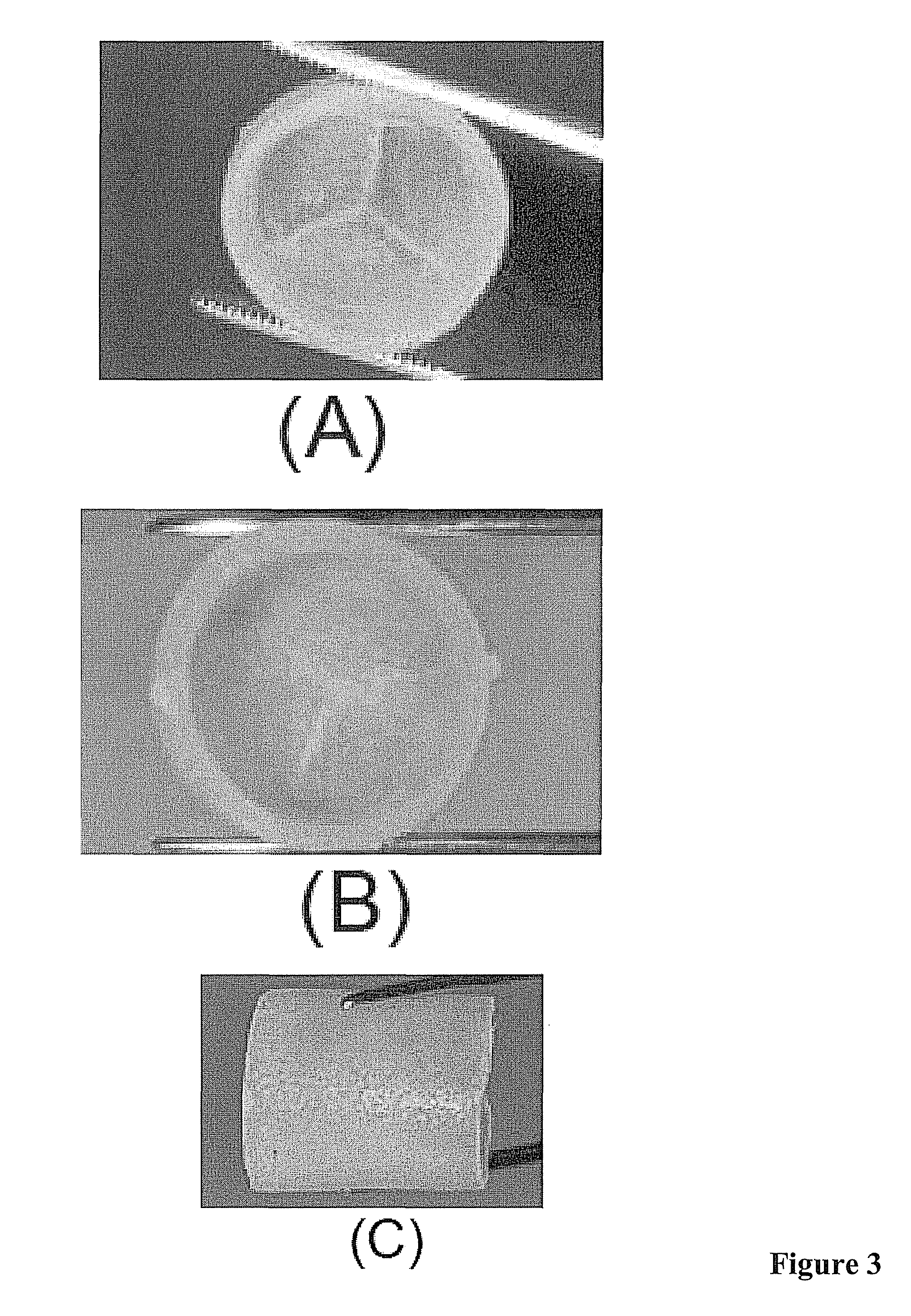 Cellulose based heart valve prosthesis