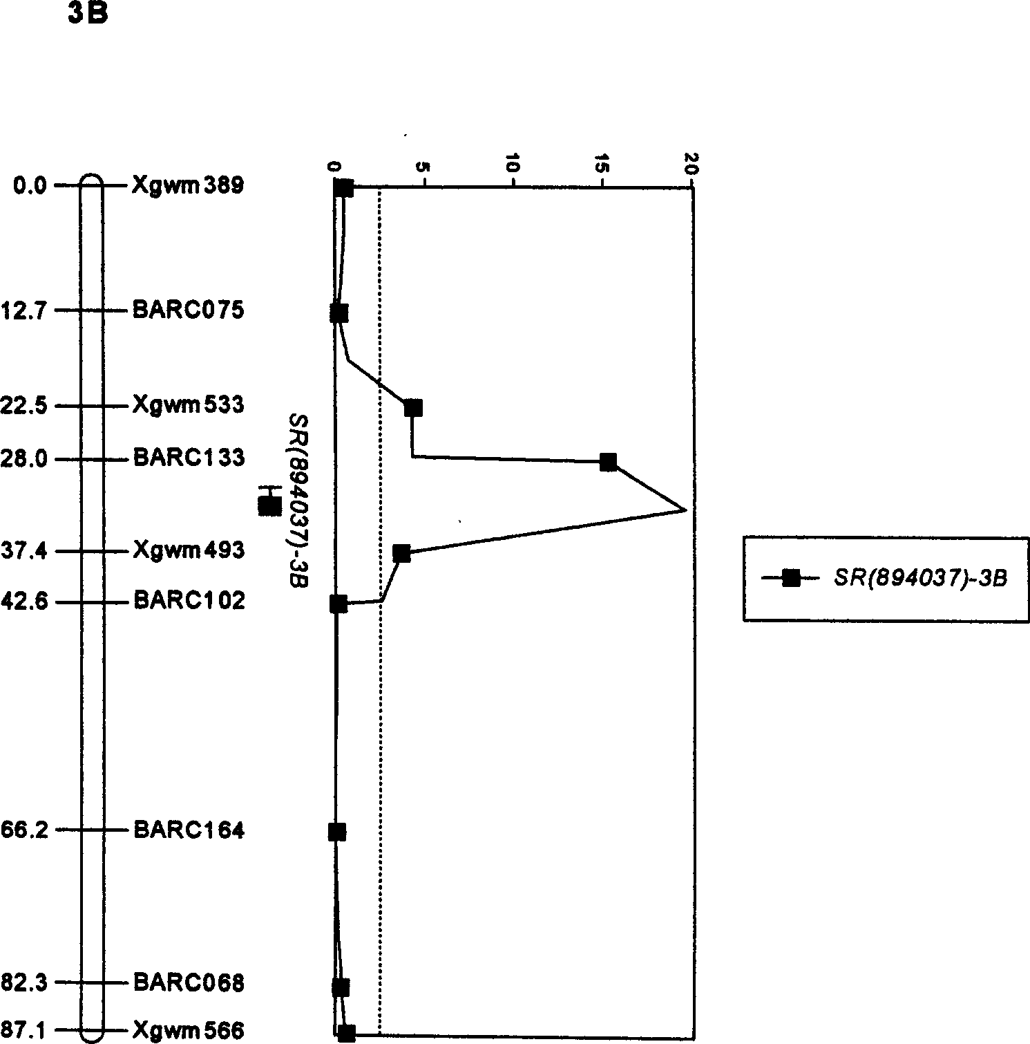 Wheat gibberella resistance major effect QTL linked molecular label and its application