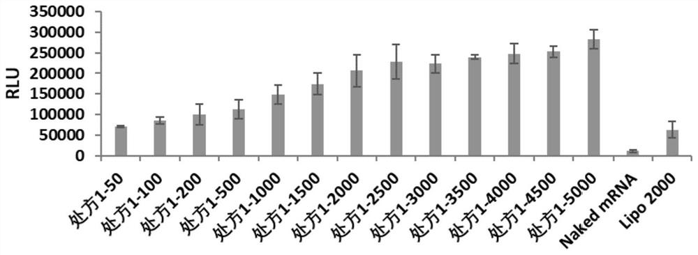 Complex nanoparticles of poloxamer and/or combination of poloxamer amine and PEG lipids