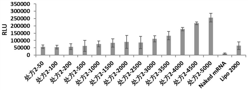 Complex nanoparticles of poloxamer and/or combination of poloxamer amine and PEG lipids