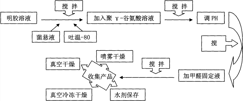 Microcapsule preparation, preparation method and application