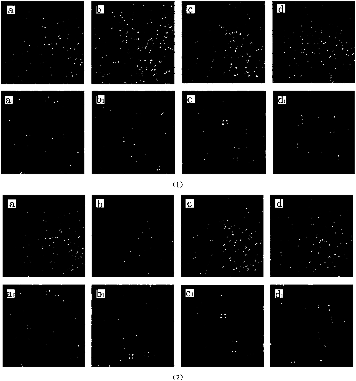 Method for preparing acetylated distarch phosphate modified starch