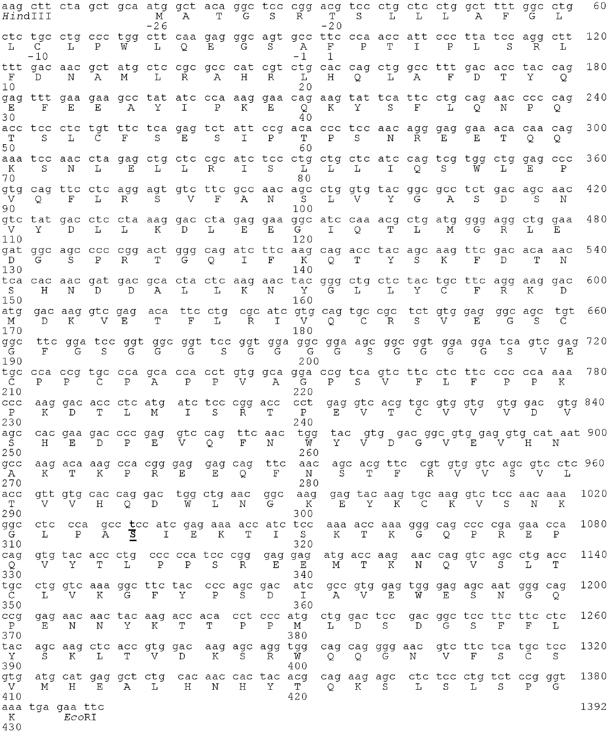 Fc fusion protein of long-acting recombinant human growth hormone