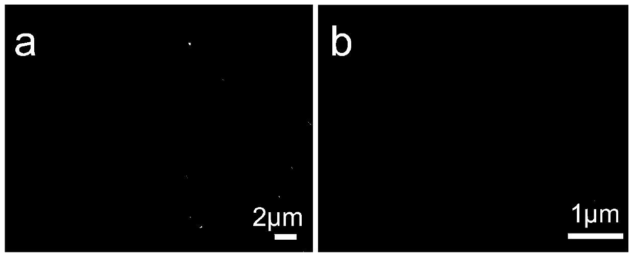 Flexible self-supporting composite electrode and preparation method and application thereof