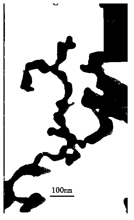 Method for preparing silver nanowires by using biomolecular amino acid as reducing agent