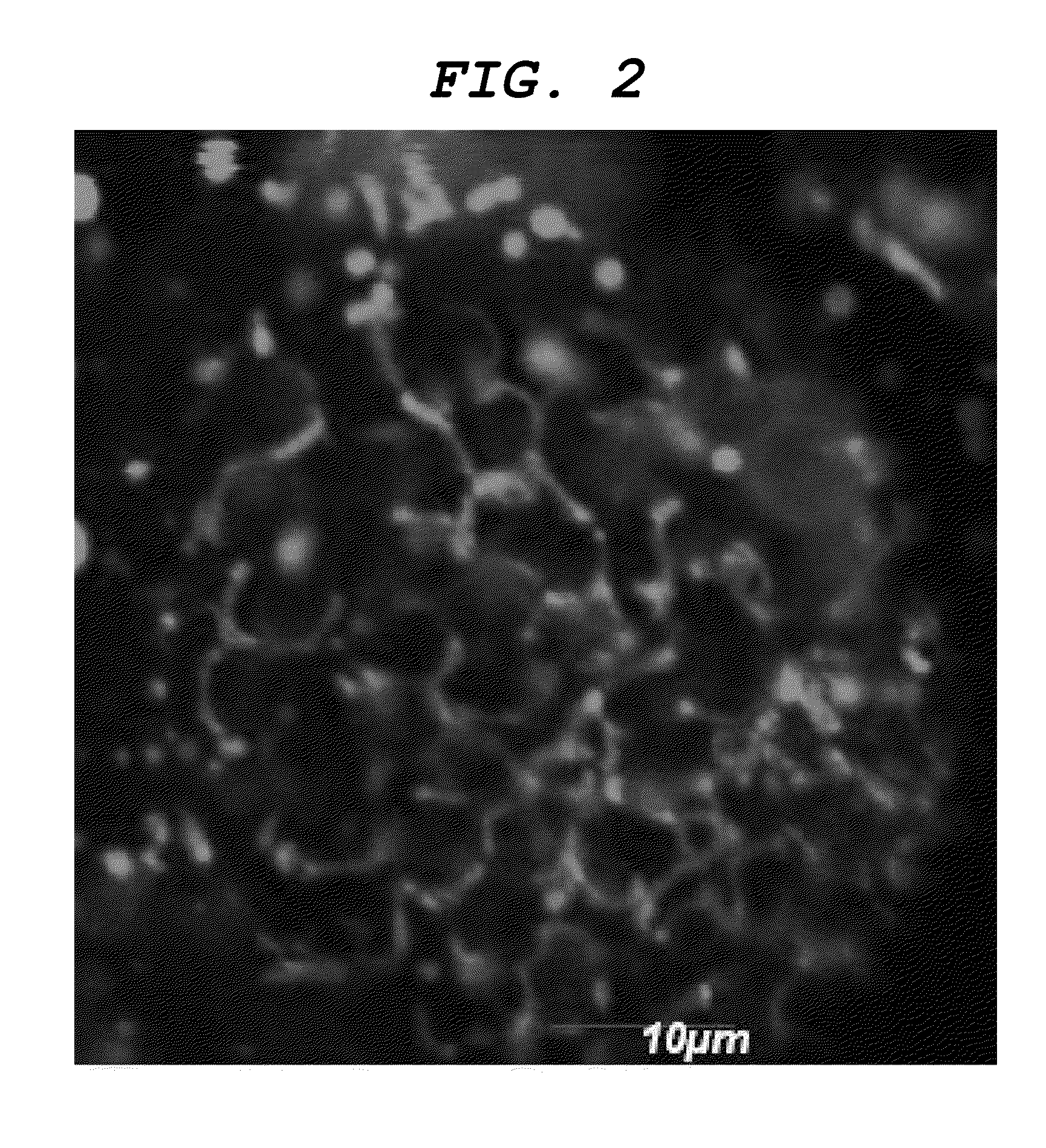 Central nervous system labelling composition for intranasal administration and labelling method and screening method using central nervous system labelling composition for intranasal administration