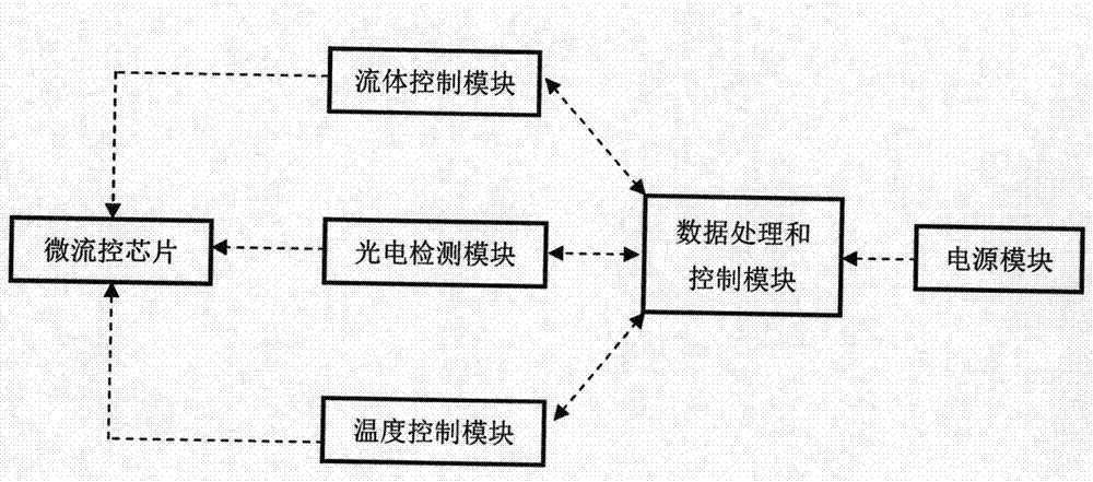 Full-automatic and high-throughput micro-fluidic chip system and method for detecting pesticide residue