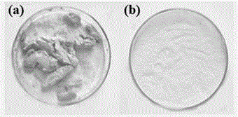 Method for ultrasonic-assisted weak base extraction of proteins in cold-pressed sesame cake meal