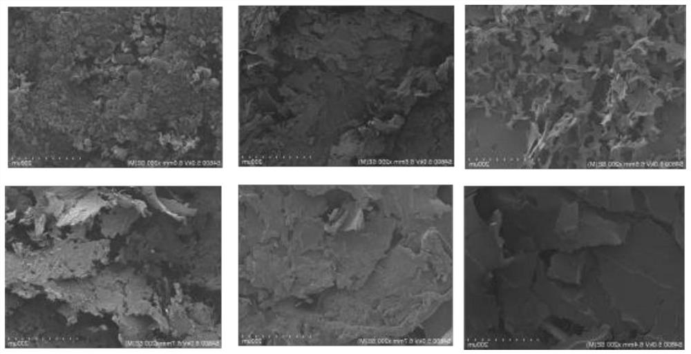 Method for synthesizing protein skeleton nano-material and application of protein skeleton nano-material in immobilized enzyme