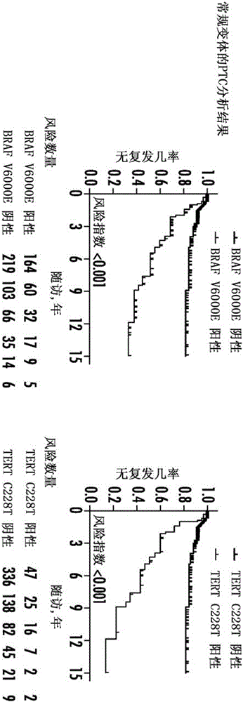 Tert and braf mutations in human cancer