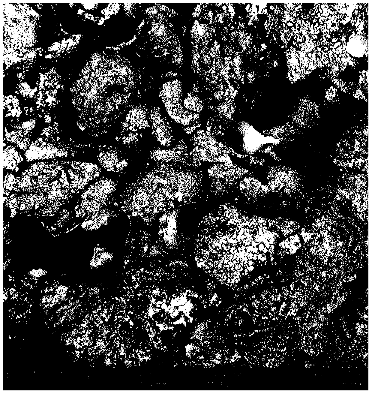 Method for solidifying island reef calcareous sand through indigenous microorganisms