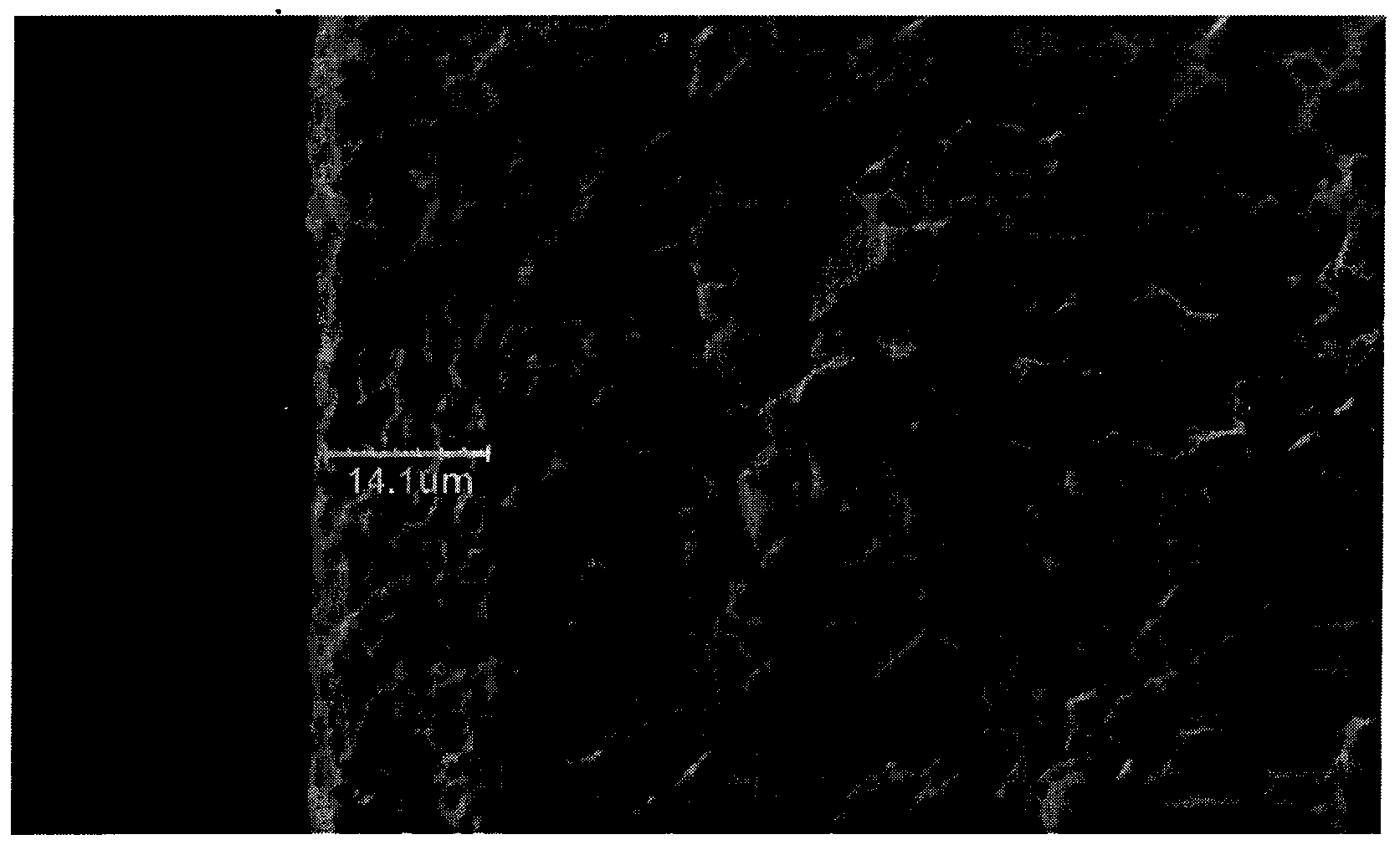 Electrocondution slurry for chip component termination electrode