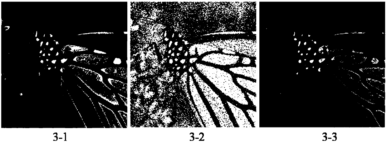 Method for removing Poisson noise in mage based on non-local similarity low rank matrix