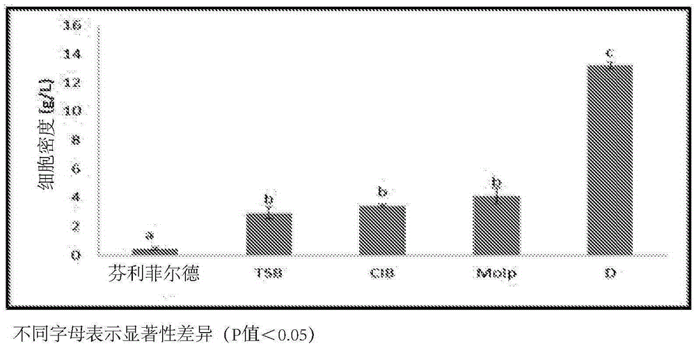 Production process for biomass and fengycin metabolites of bacillus species and compositions thereof for biological pest control