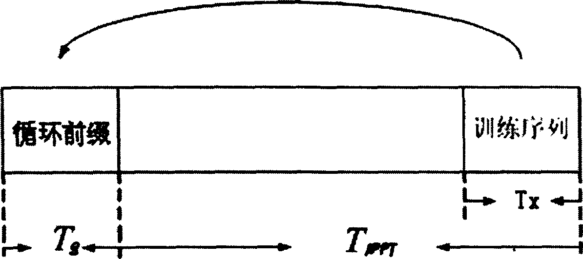 OFDM synchronization method of using training circulated prefix