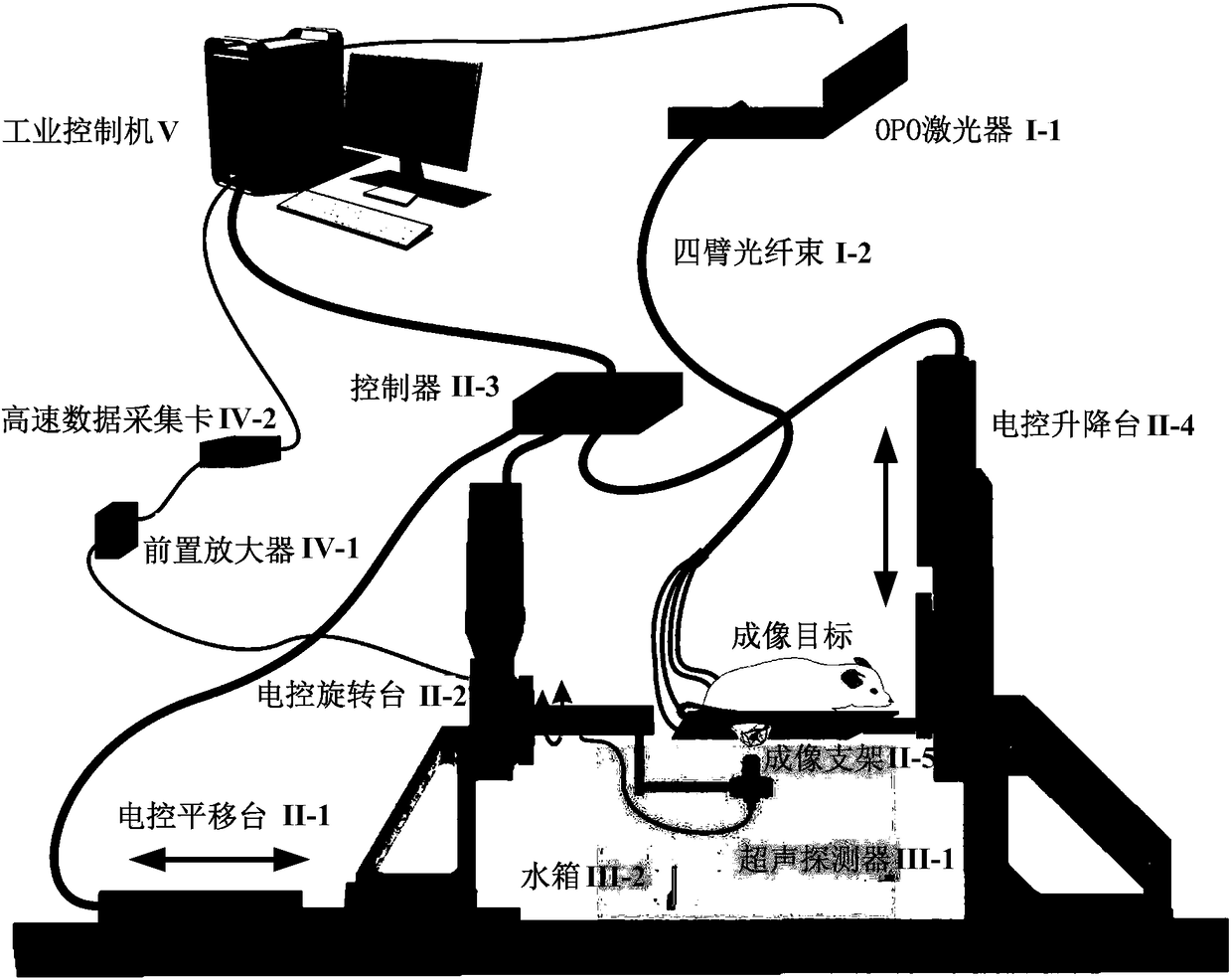 Stereoscanning mesoscopic photoacoustic imaging system for subcutaneous tumor of small animal