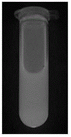 High fluorescence quantum efficiency carbon nanodots and preparation method thereof