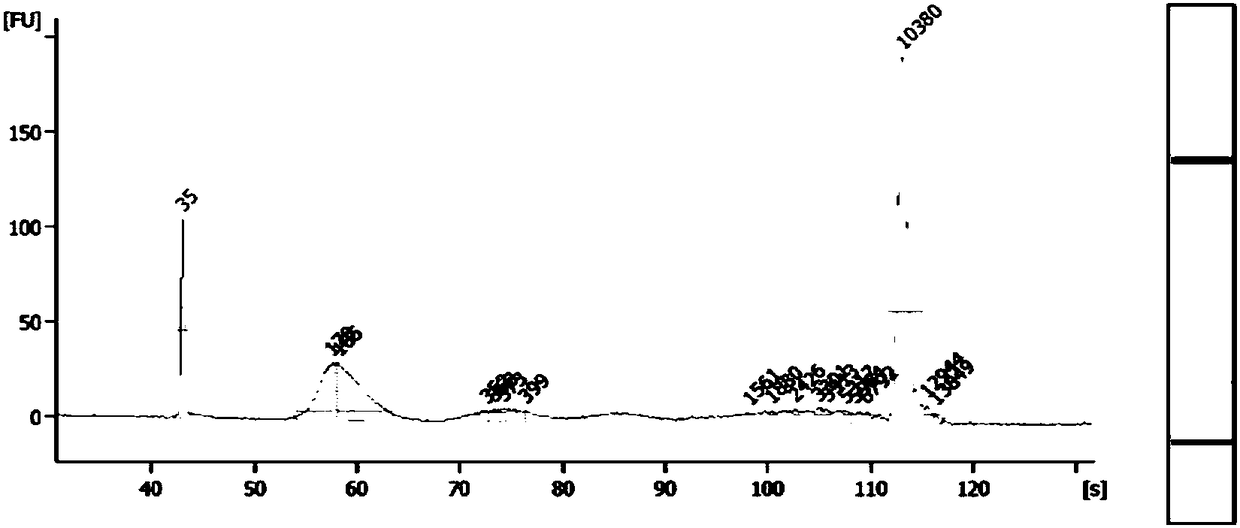 Reference product for non-invasive prenatal detection of fetal aneuploid chromosomes