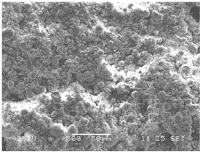 Method for detecting uniformity of powder injection molded feed