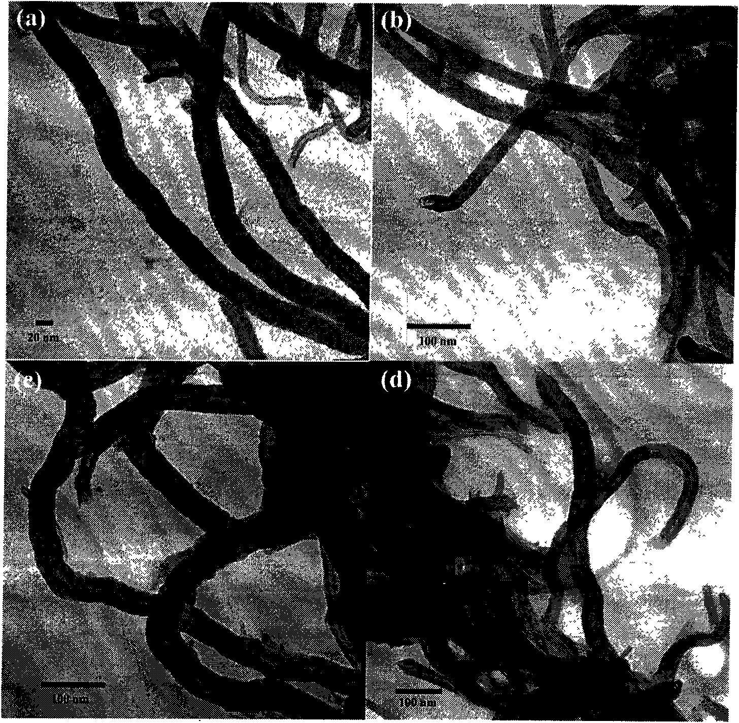 Method for preparing functionalized carbon nanotube based on polyethyleneimine