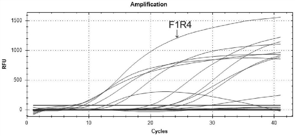 RT-RAA fluorescence method detection primer pair, kit and detection method for J subtype avian leukosis virus gp85 gene