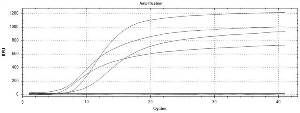 RT-RAA fluorescence method detection primer pair, kit and detection method for J subtype avian leukosis virus gp85 gene