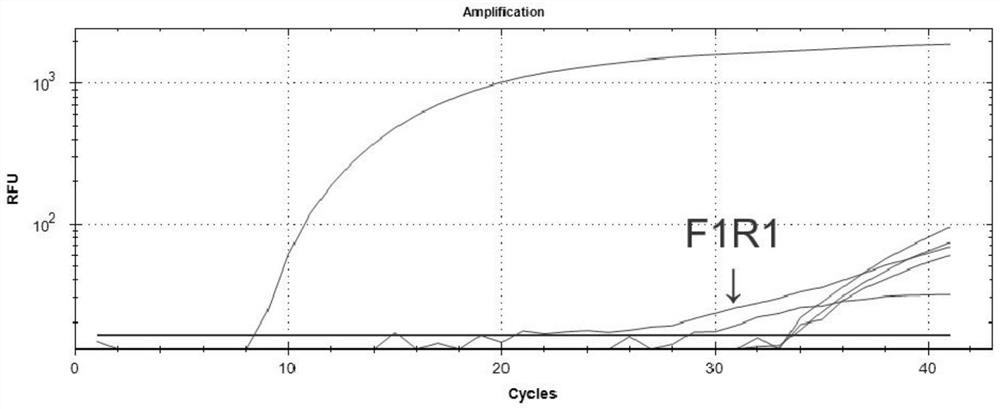 RT-RAA fluorescence method detection primer pair, kit and detection method for J subtype avian leukosis virus gp85 gene