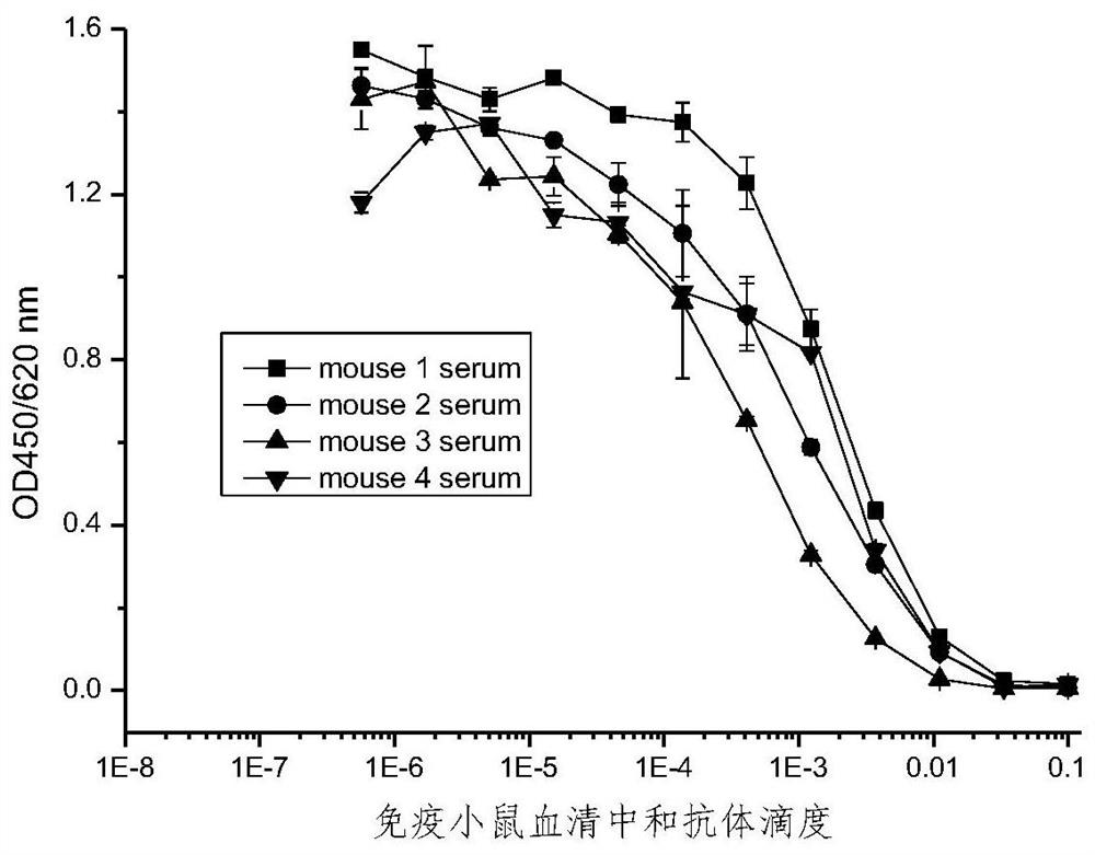 SARS-CoV-2 virus neutralizing antibodies and uses thereof