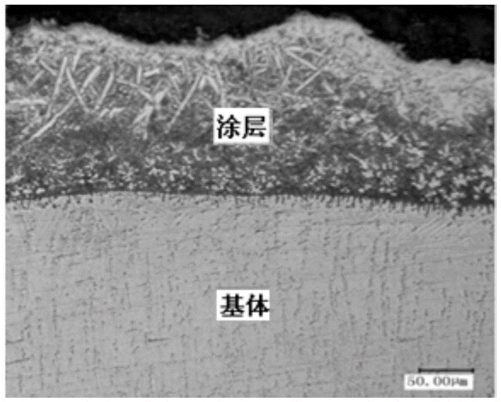 Preparation method of hydroxylapatite coating on surface of titanium alloy matrix