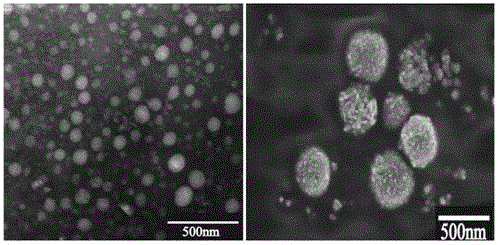 Method capable of increasing solubility of paclitaxel