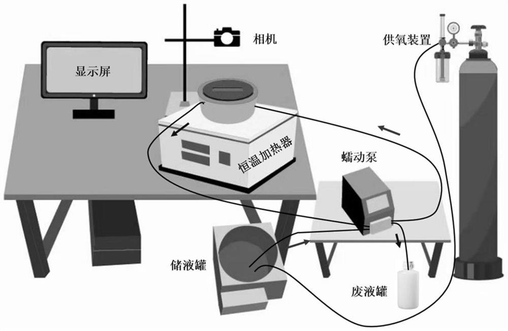 In-vitro detection system for intestinal migration compound motion and application thereof