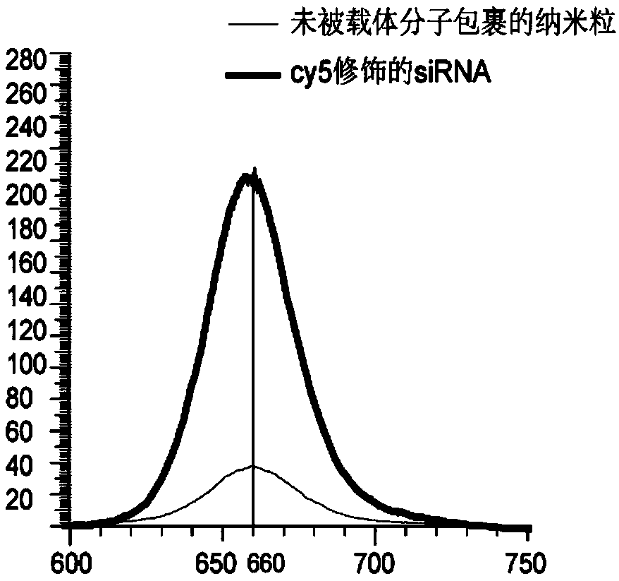 Nanoparticles of CT/fluorescent bimodal imaging load siRNA and preparation method and application thereof