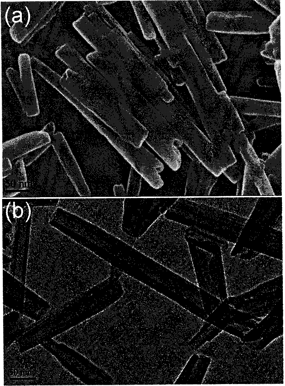 Preparation of TCH/HNTs/PLGA nanometer composite fibre medicine carrying system