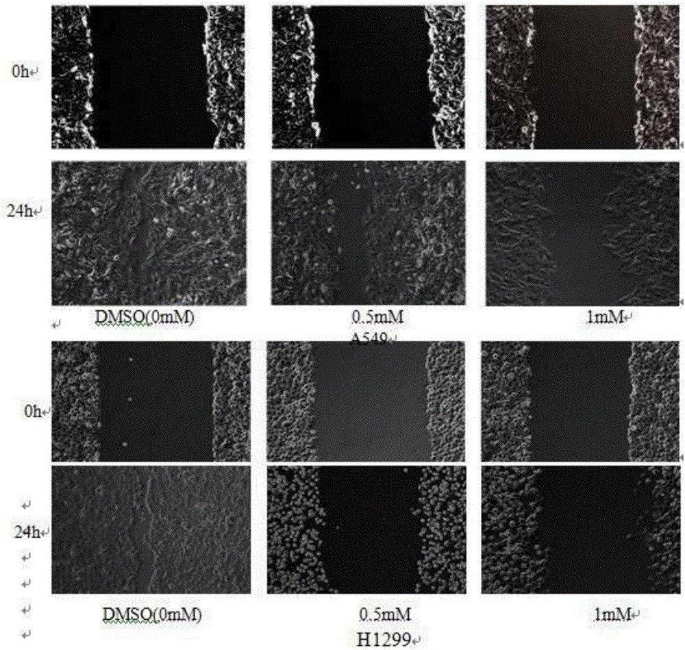 Application of d-limonene in preparing drug for treating non-smoking lung cancer