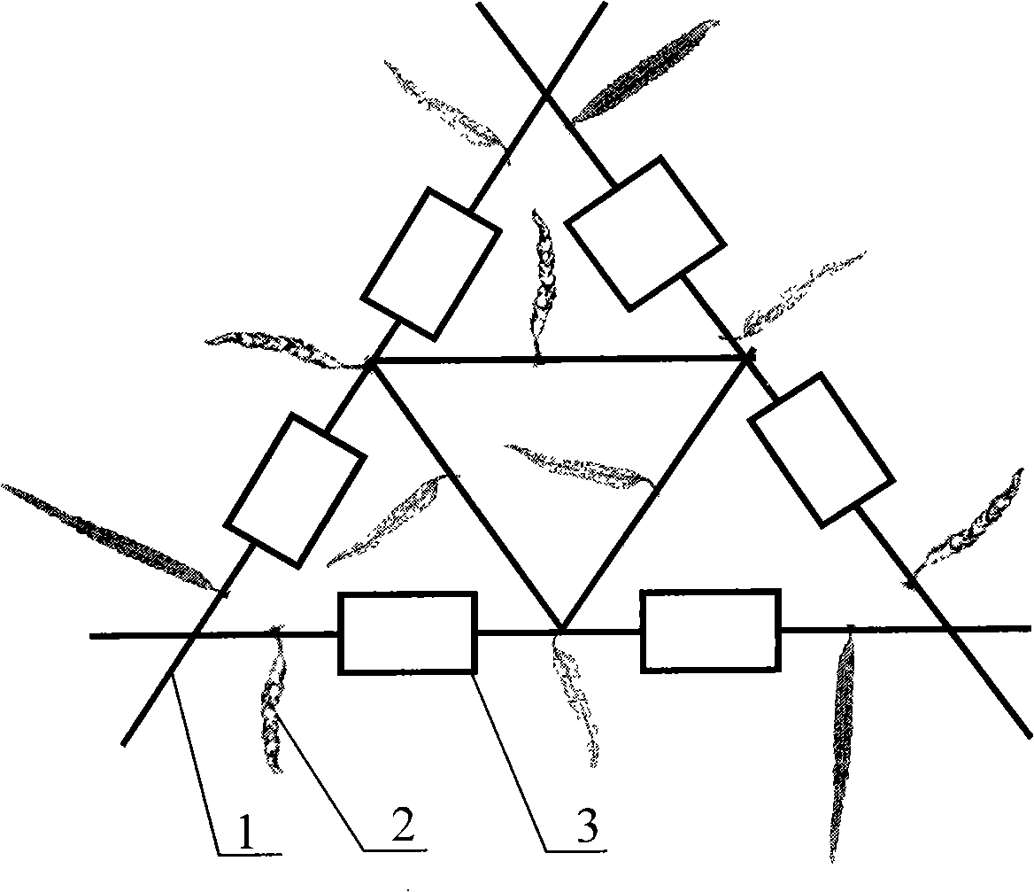 Artificial algae field and construction method thereof