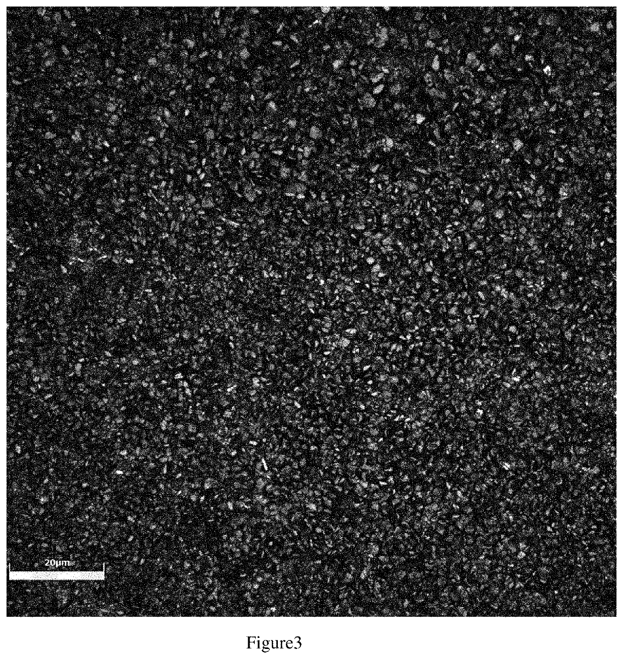 Special device and method for cement product surface microcrystallization