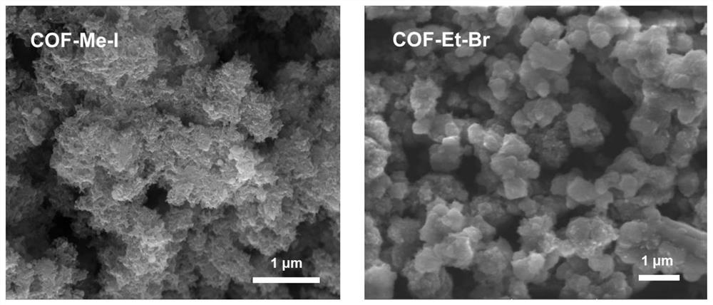 Carbon-carbon double bond bridging covalent organic framework material and preparation method thereof