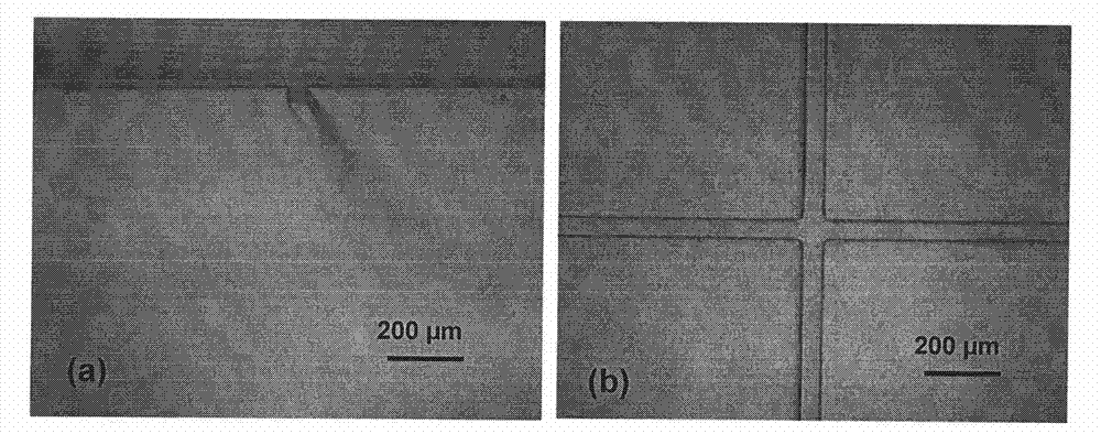 Method for preparing polymeric micro-fluidic chip based on hydrogel male mold
