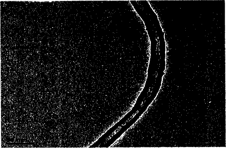 Process for preparing composite material of carbon nano tube/NiZn ferrite