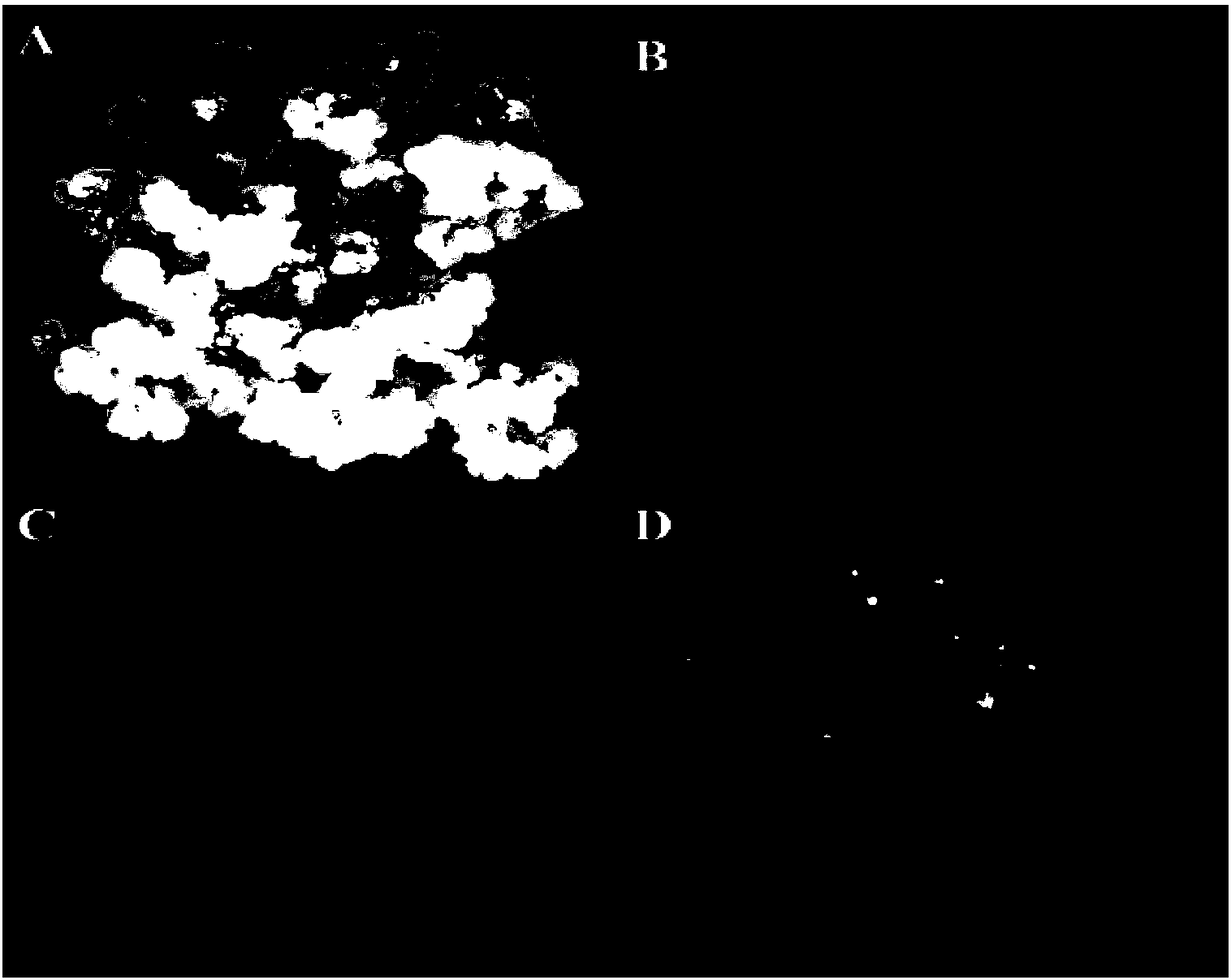 Transgenic carrier with function of automatic control and elimination of selection marker and application thereof in zea mays marker-free transgenic breeding