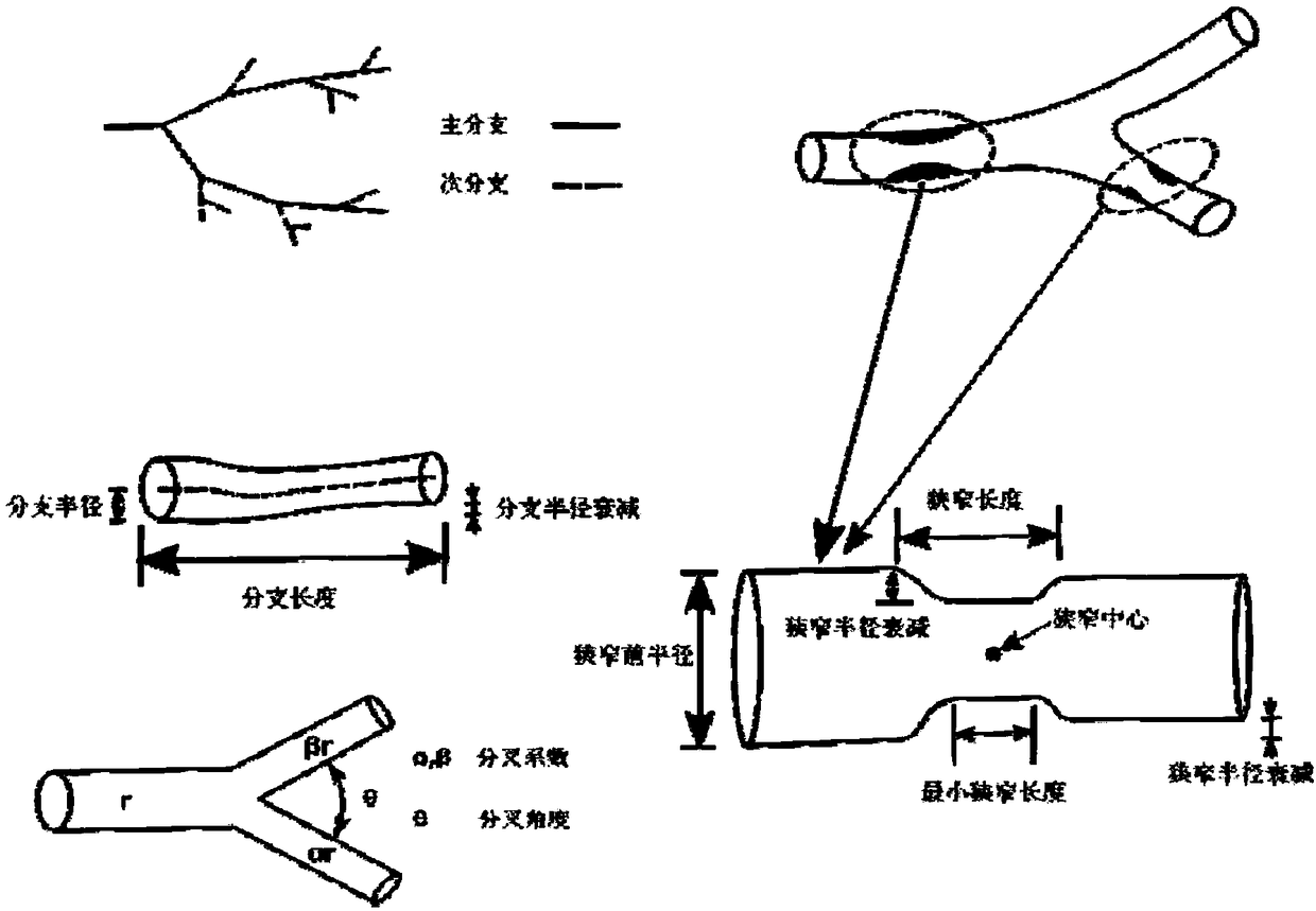 Deep learning model and device for predicting blood flow features on flood flow vector paths