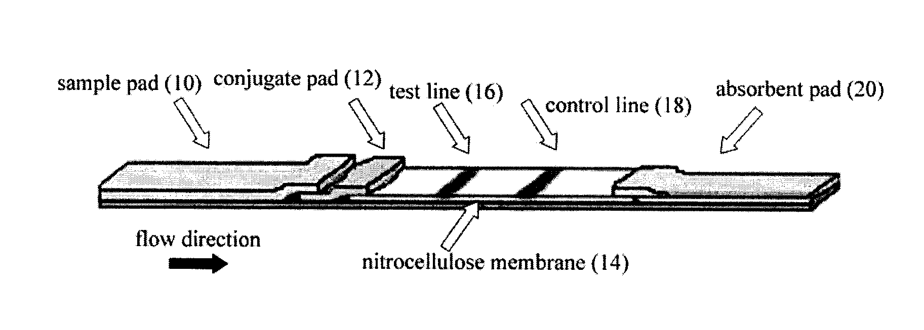 Lateral flow assay system and methods for its use