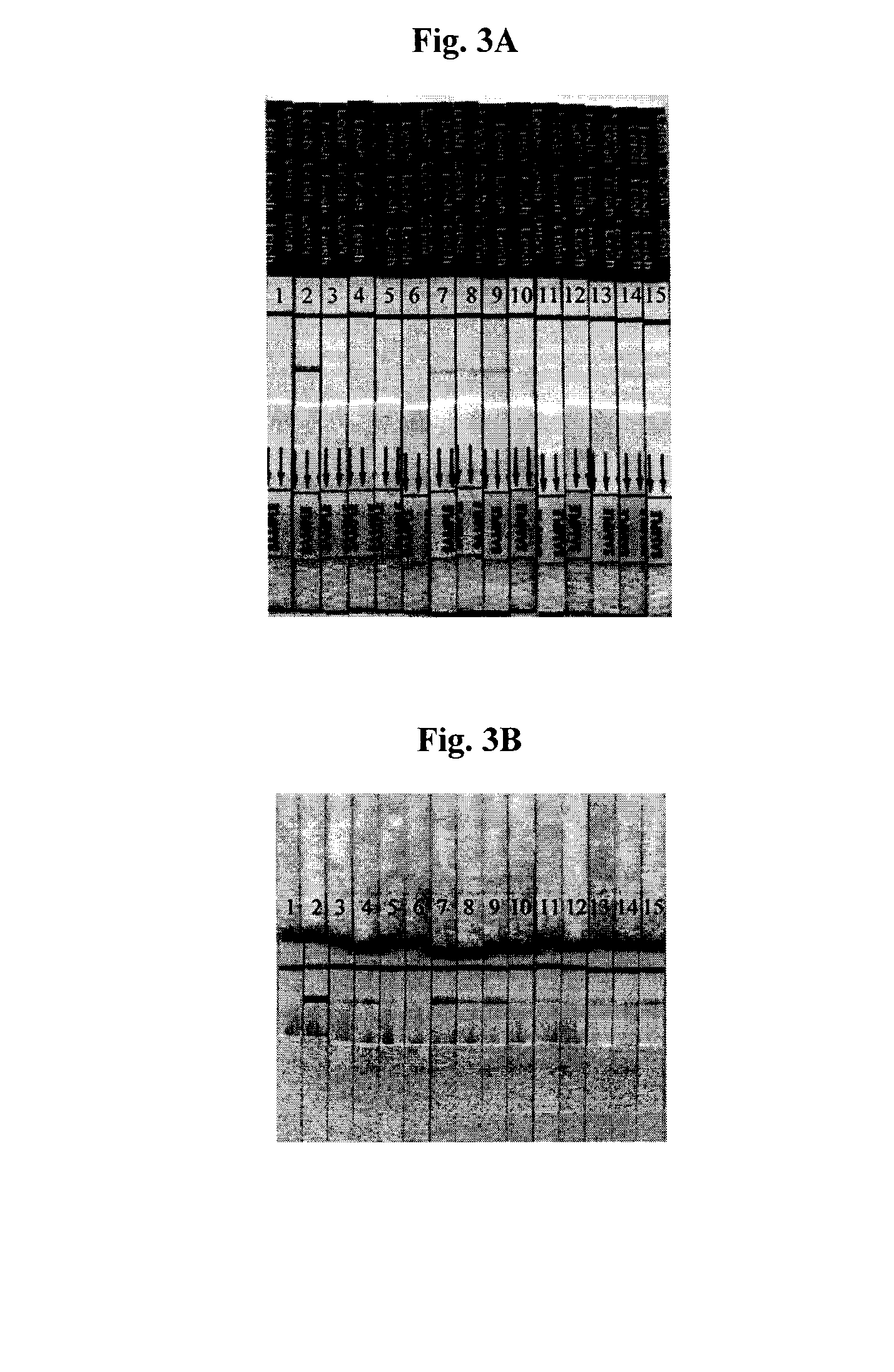 Lateral flow assay system and methods for its use