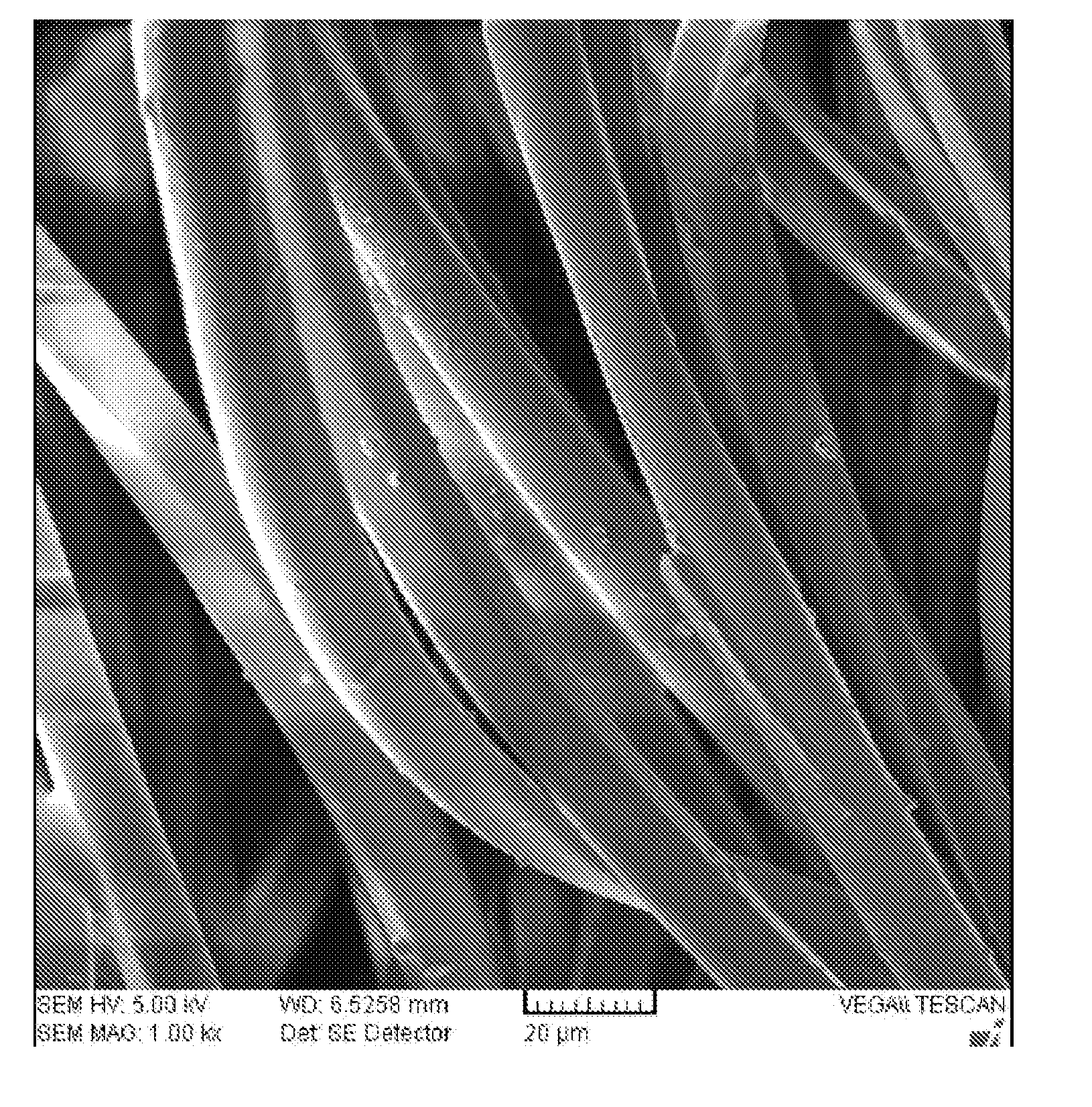 Functional polyurethane prepolymer, method of preparing polyurethane by using the same, and application method thereof