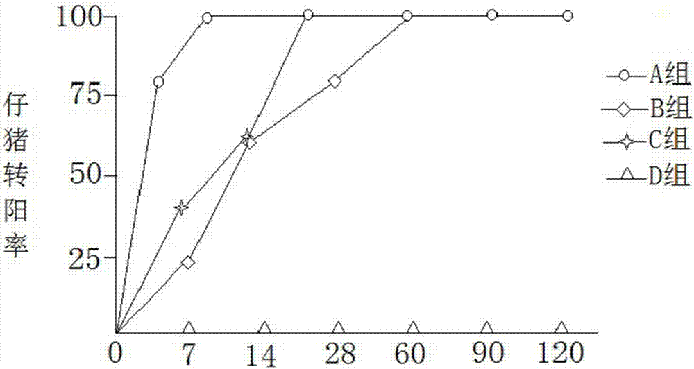 Immunopotentiator for swine atrophic rhinitis inactivated vaccine and preparation method of immunopotentiator