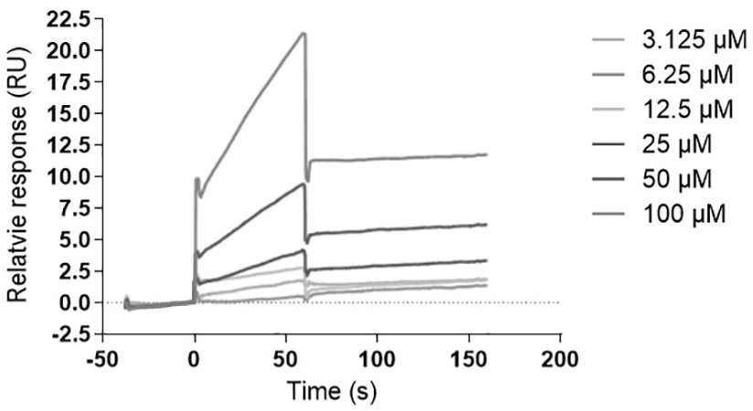 Application of small-molecule inhibitor to preparation of antitumor medicine