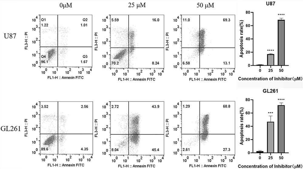 Application of small-molecule inhibitor to preparation of antitumor medicine