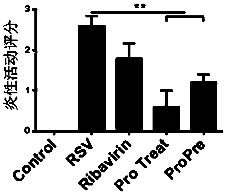 Probiotic composition as well as preparation and application of probiotic composition