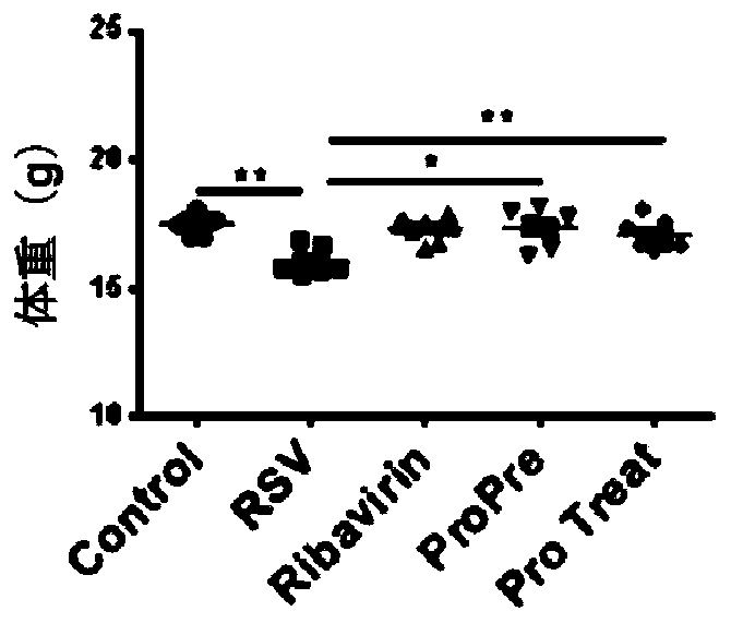 Probiotic composition as well as preparation and application of probiotic composition