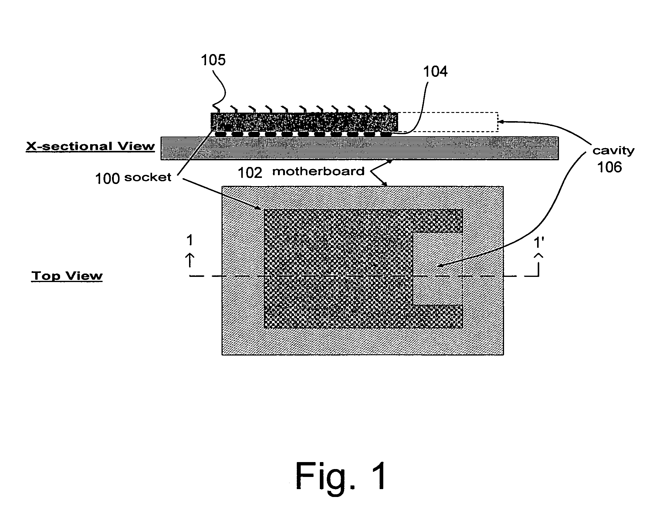 Split socket optical interconnect